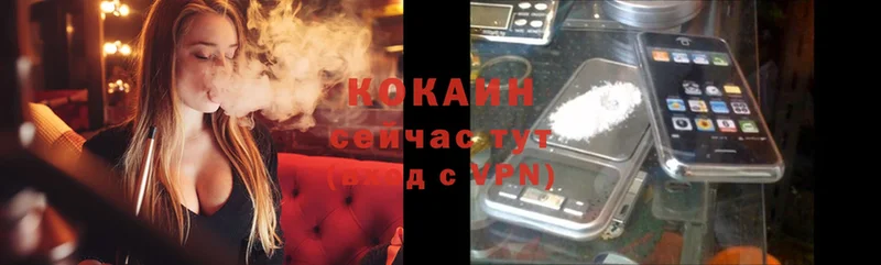 закладка  Луза  COCAIN VHQ 