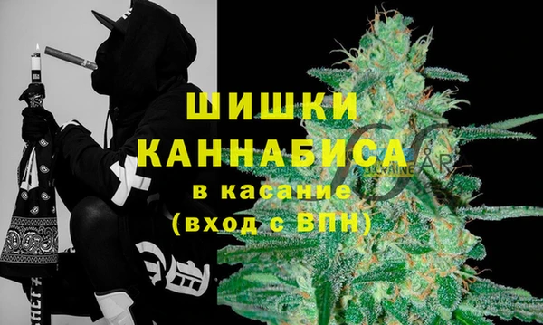 a pvp Новозыбков