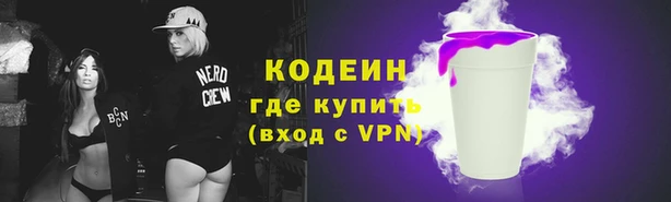 индика Новокубанск