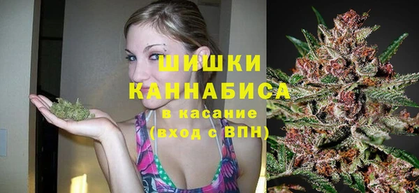 тгк Няндома