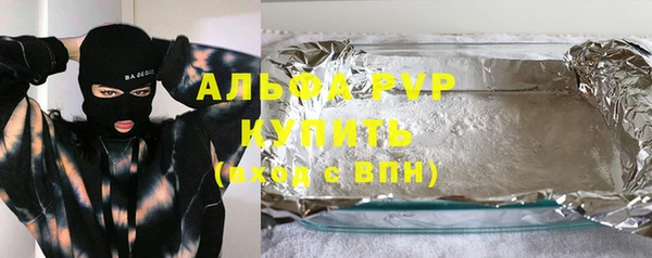 молекула духа Бородино