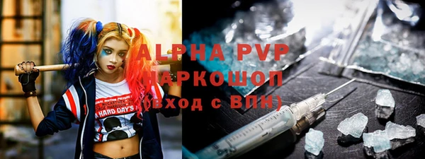 индика Новокубанск