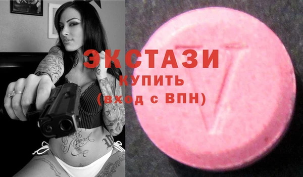 a pvp Новозыбков