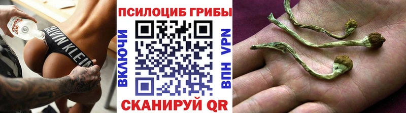 купить наркотик  Луза  Псилоцибиновые грибы Magic Shrooms 