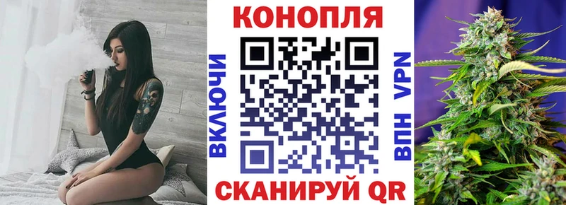 Бошки Шишки семена Луза